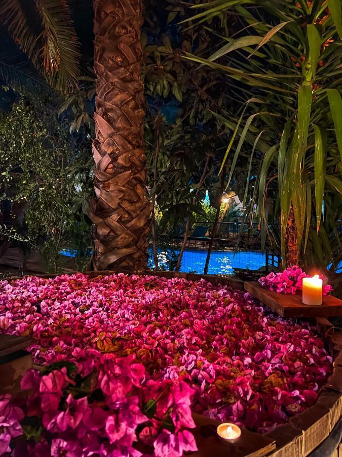 Barros Wellness & Spa Resort Boutique Los Andes Exteriér fotografie